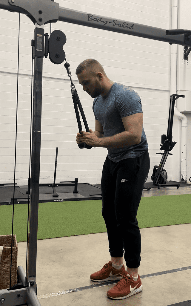 aleksander saks performing cable triceps pushdowns