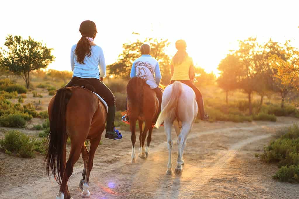 three women riding horses into a sunset